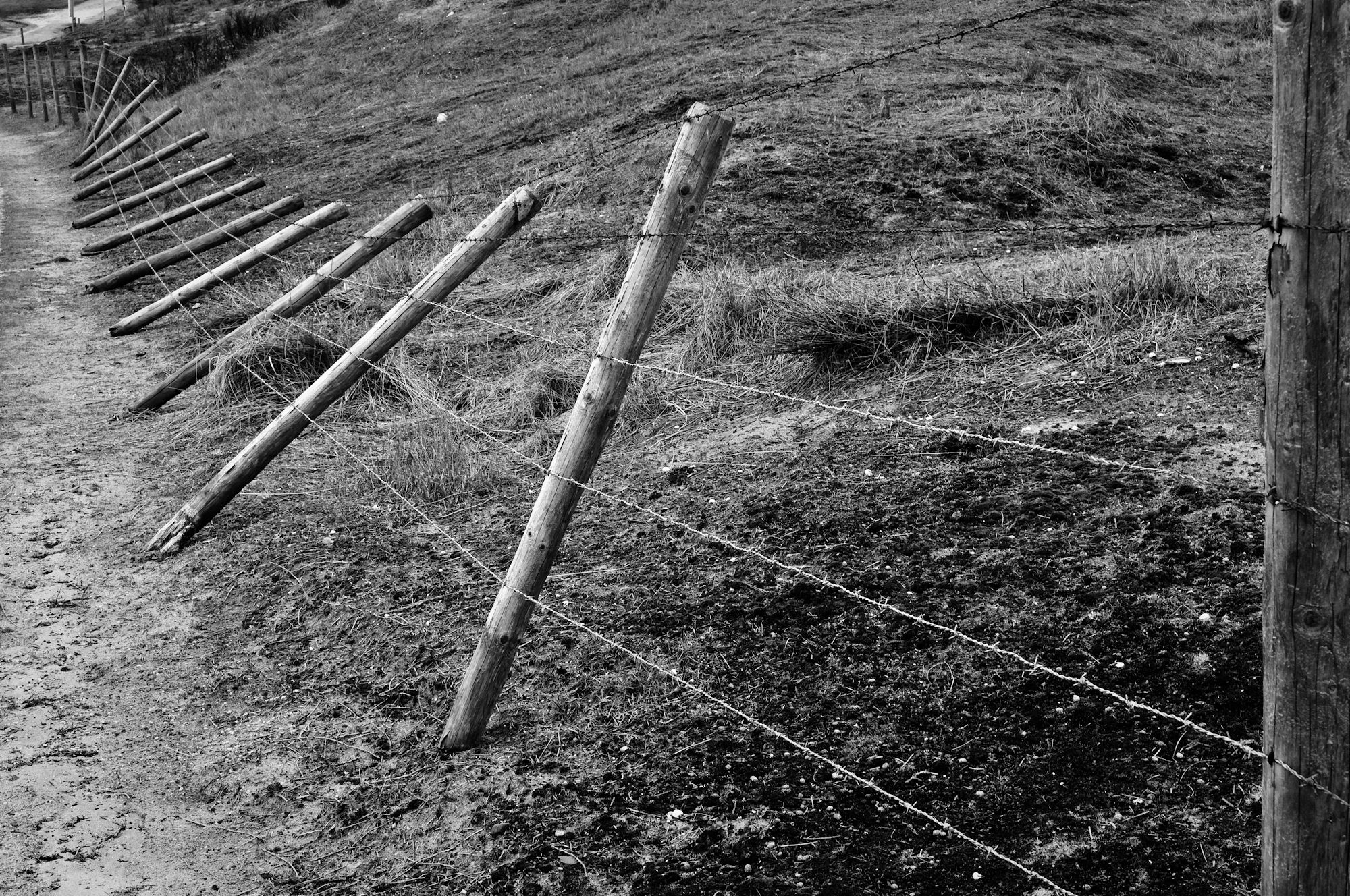 Photo: Zandvoort - Pays-Bas