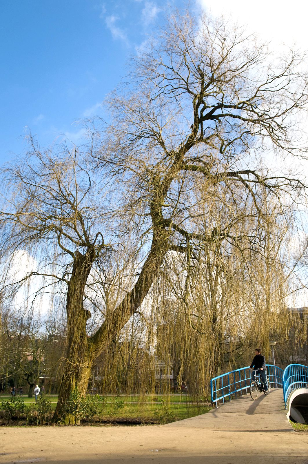 Photo: Amsterdam - Pays-Bas