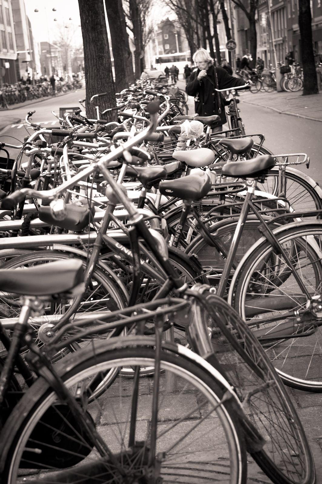 Photo: Amsterdam - Pays-Bas