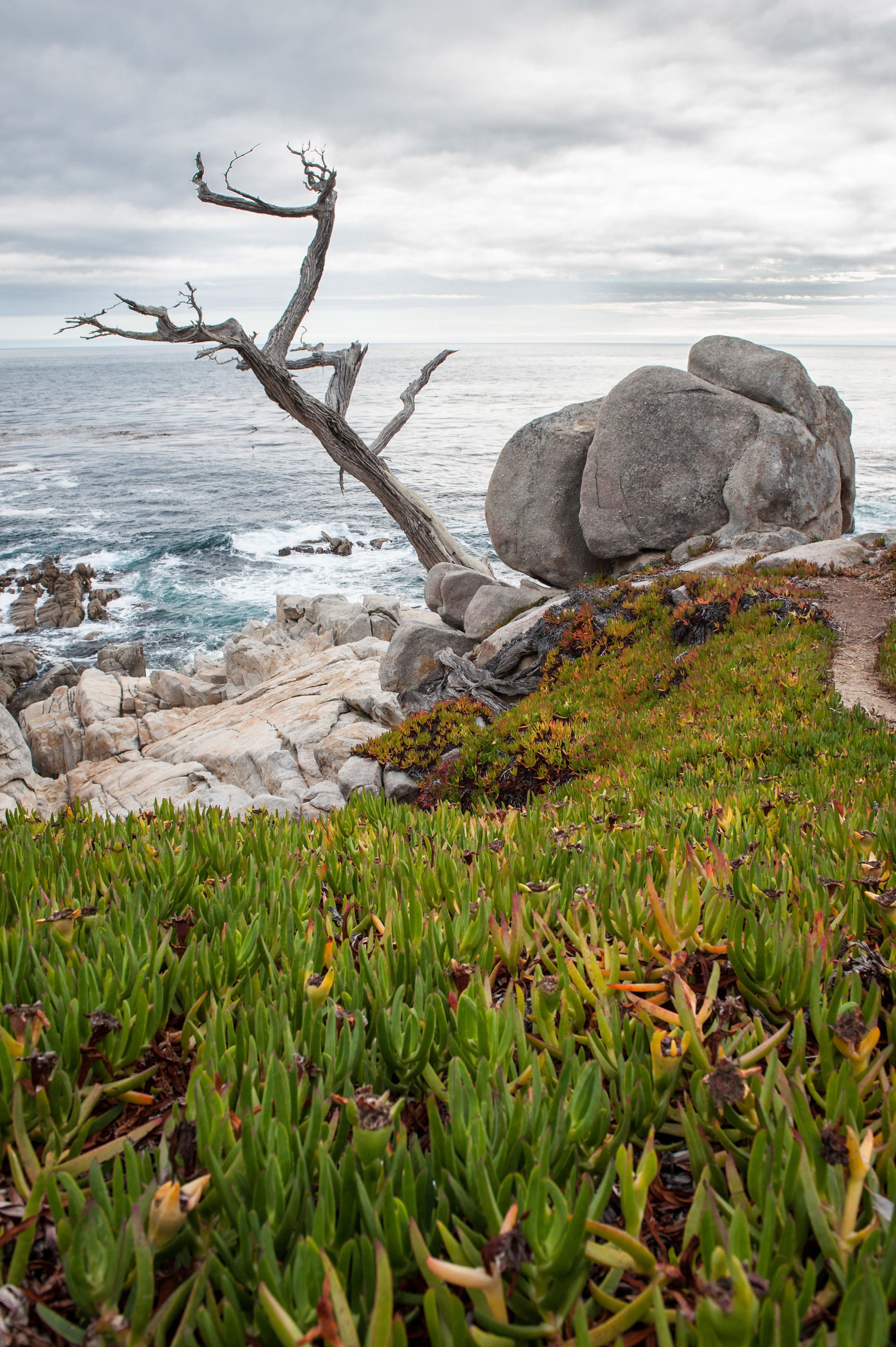 Photo: Monterey, California - USA
