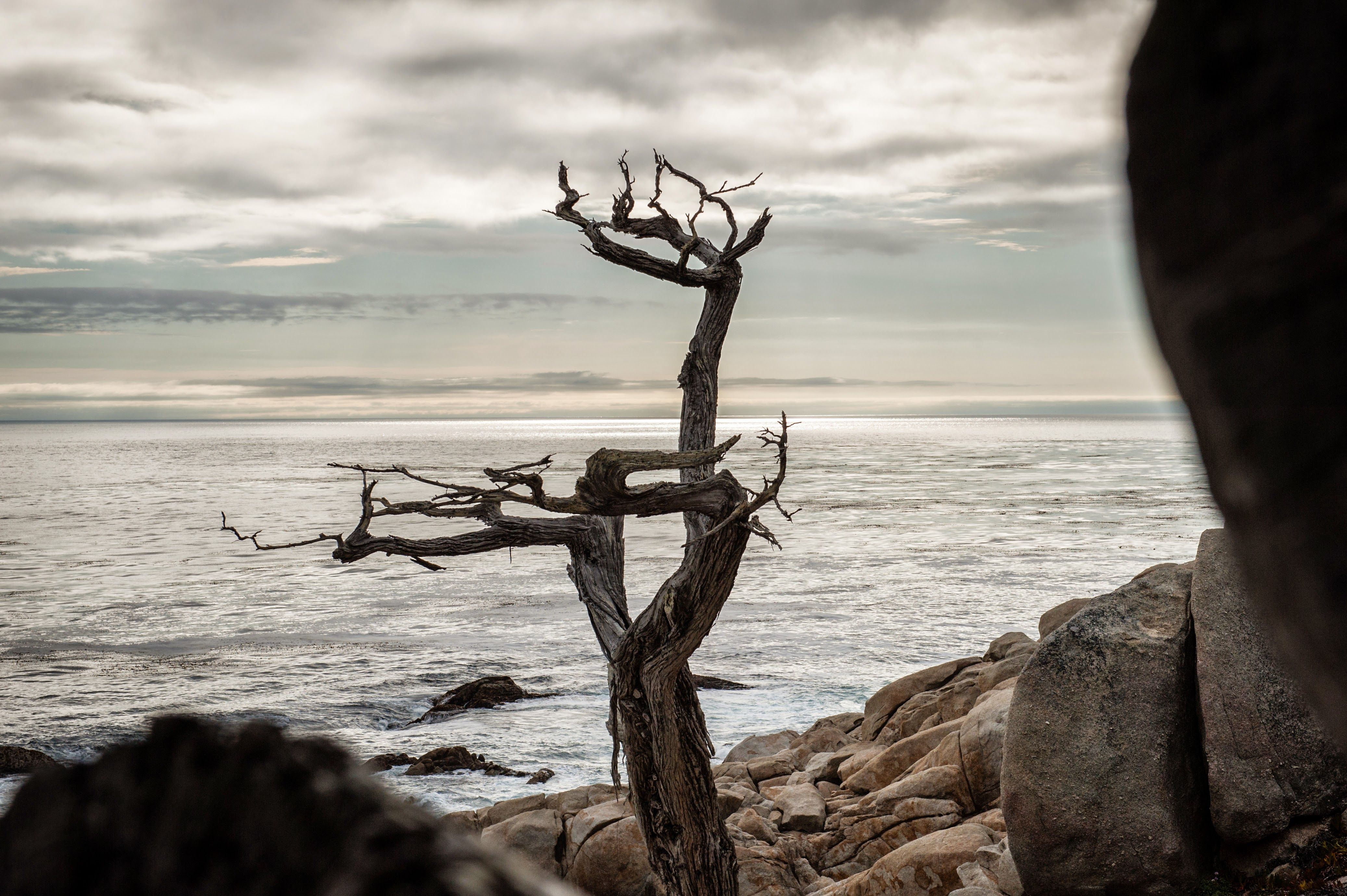 Photo: Monterey, California - USA