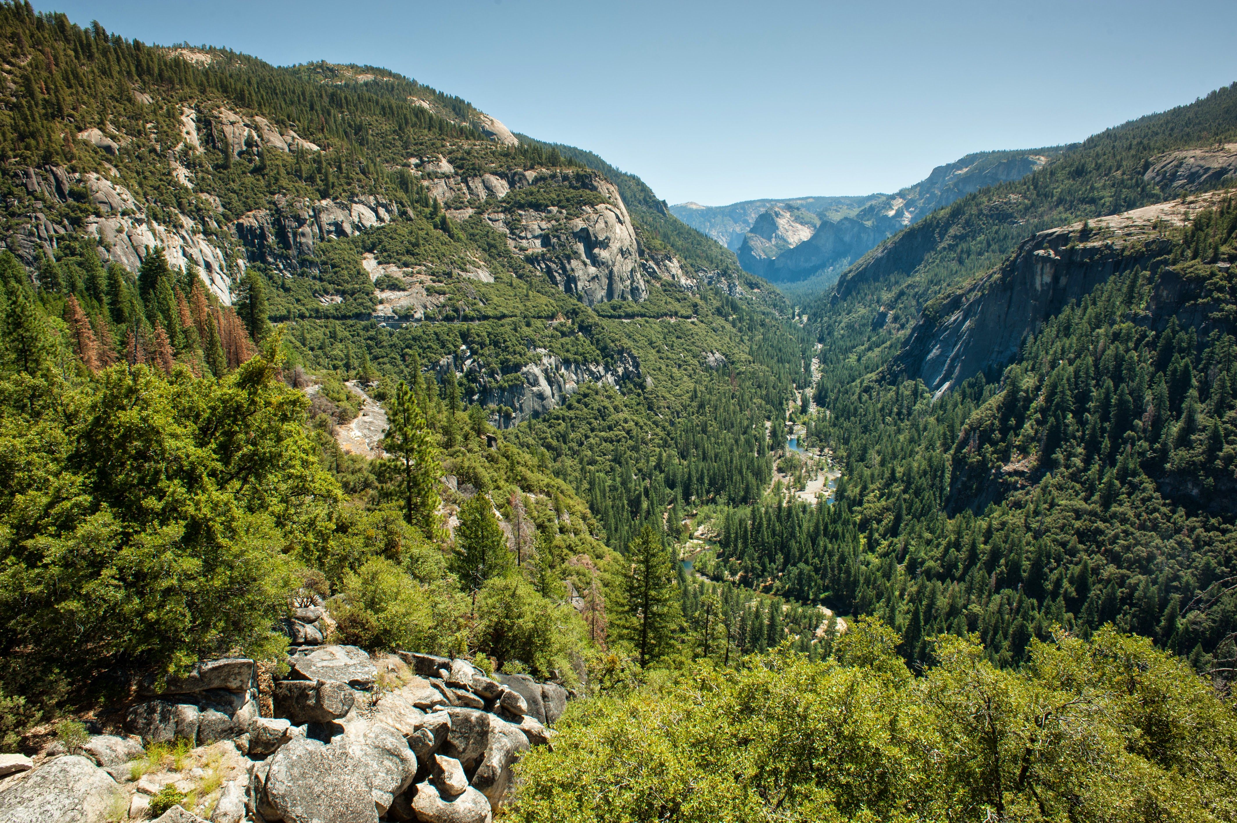 Photo: Yosemite Park, California - USA