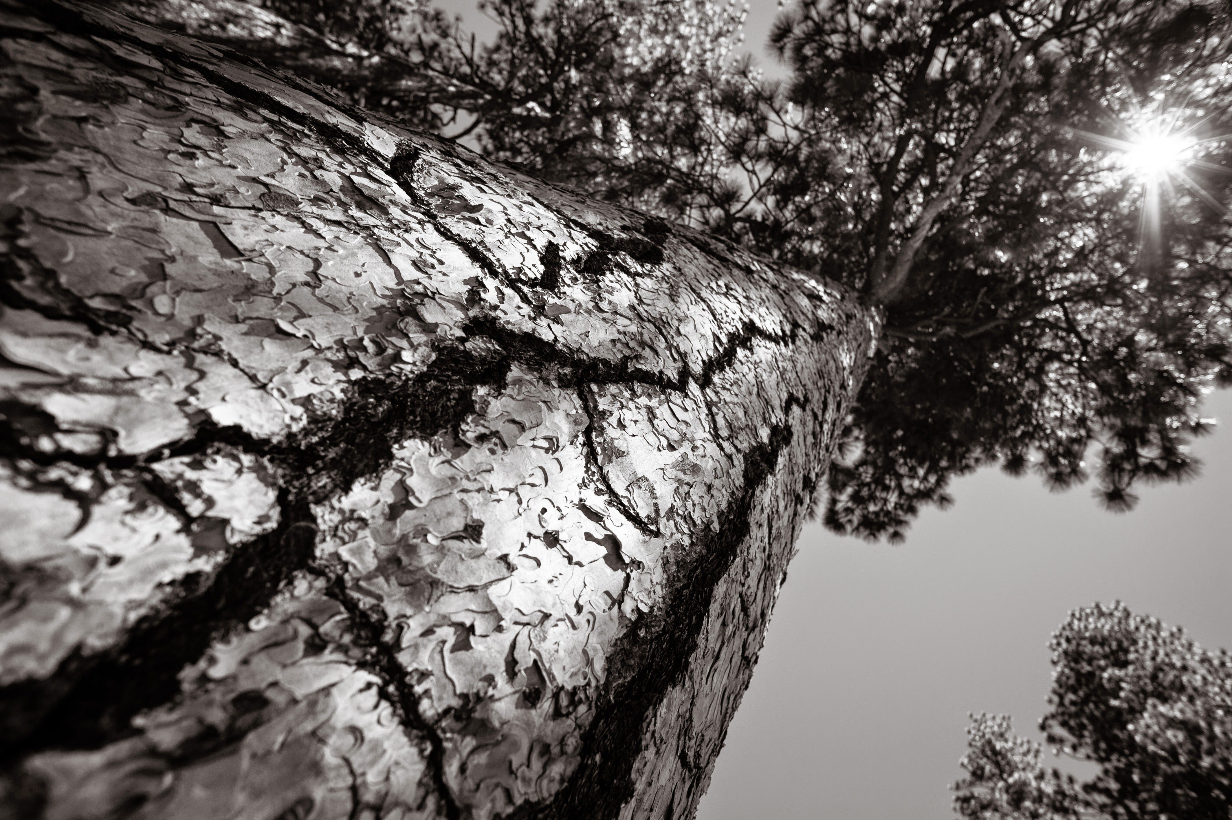 Photo: Yosemite Park, California - USA